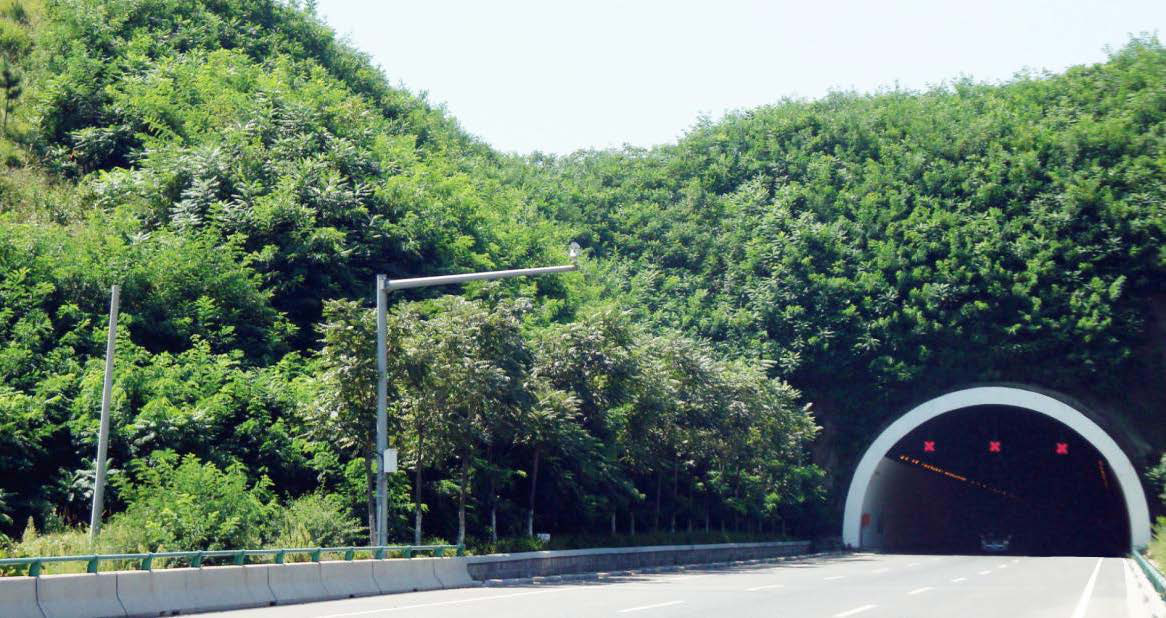 青岛市西海岸下穿通道路生态修复工程